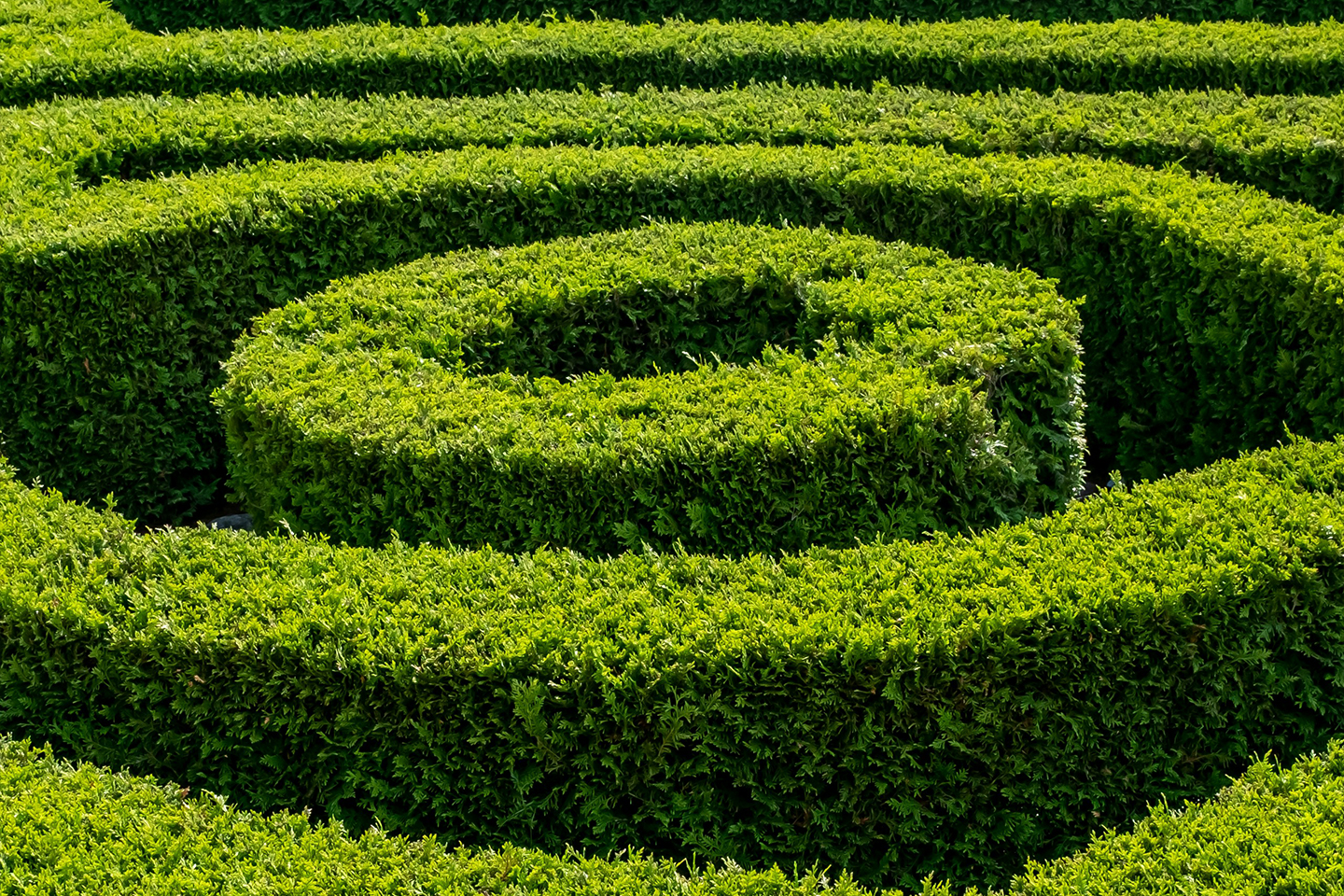 The Rococo Garden's Maze: A talk with Professor Angela Newing