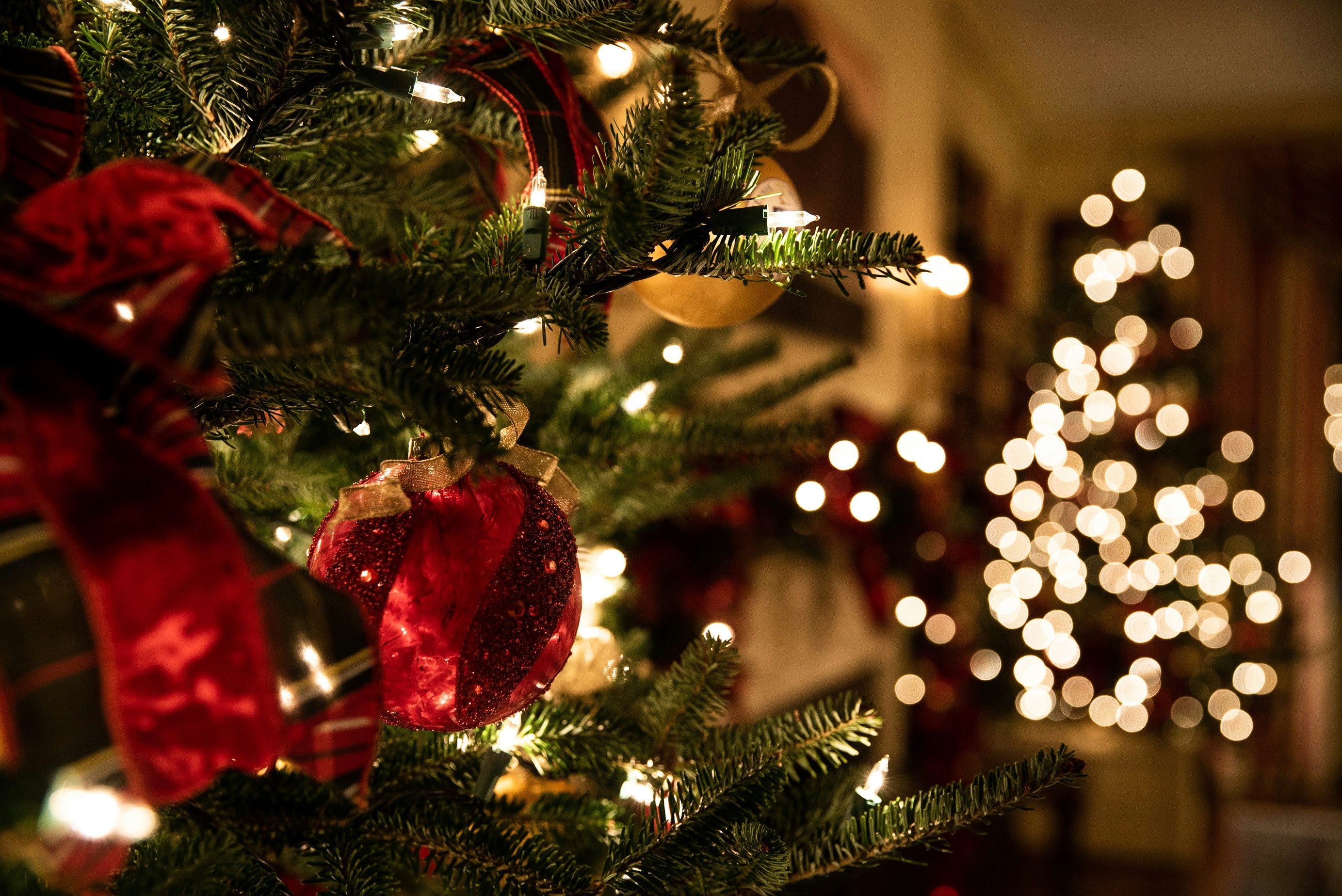 Christmas Decorations