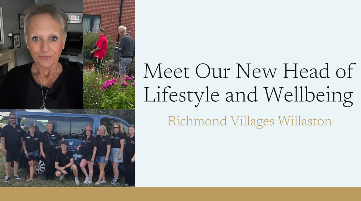 Meet the team