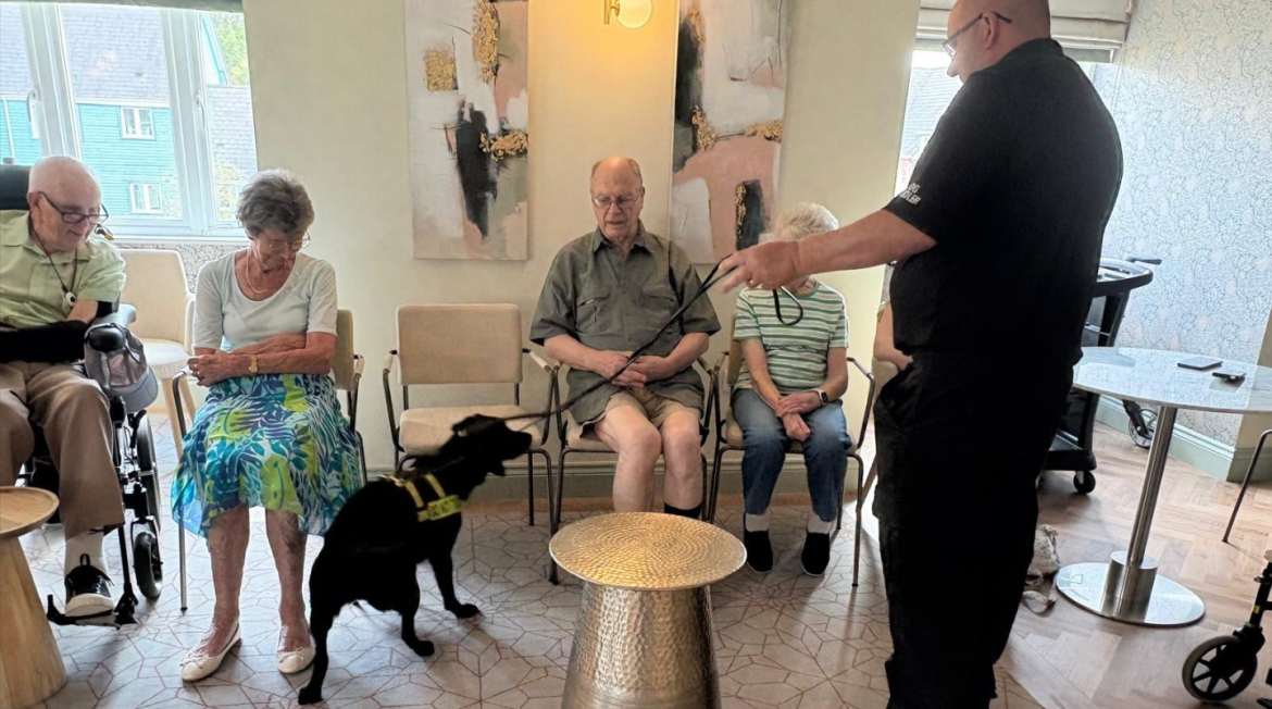 A dog handler holding the lead of a dog with people sitting in chairs