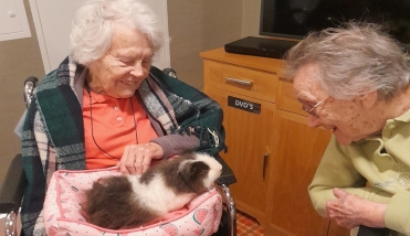 Residents Looking At Animals