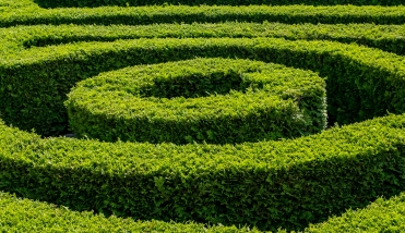 The Rococo Garden's Maze: A talk with Professor Angela Newing