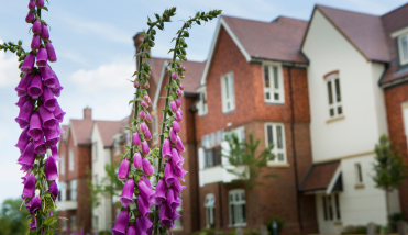 Flowers outside Richmond Villages Aston-on-Trent
