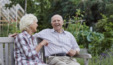 Beautiful garden landscape