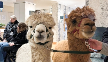 Aplacas in a retirement home