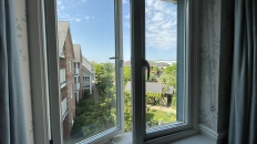 Window view