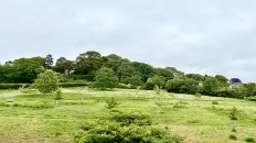 View from window