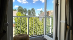 View from living room