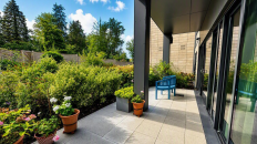 Patio Area